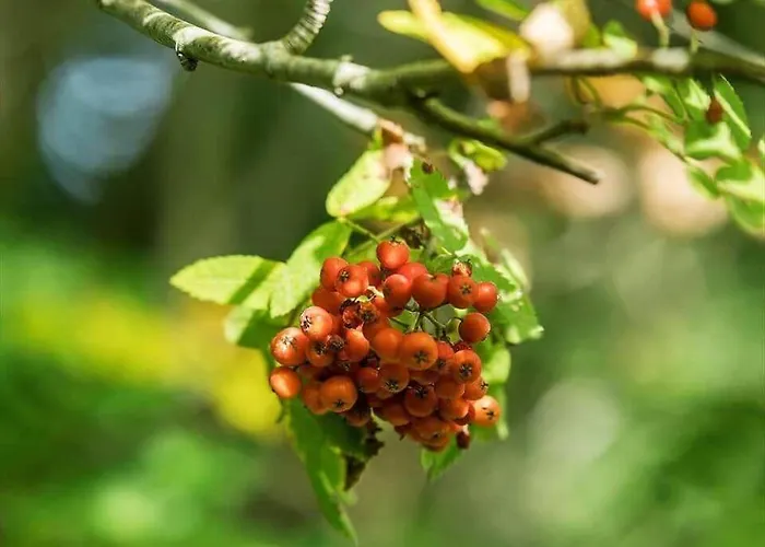 1607-vejby-laerkebakken-8